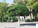 2007_1002_Italie0083