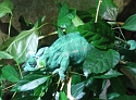 2007_1002_Italie0097