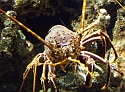 2007_1002_Italie0101