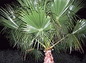 2007_1004_Italie0171