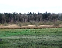2008_0405_Faroer0005