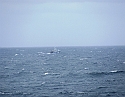 2008_0407_Org_Faroer0153