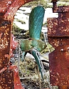 2008_0408_Org_Faroer0207