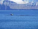 2008_0409_Org_Faroer0263