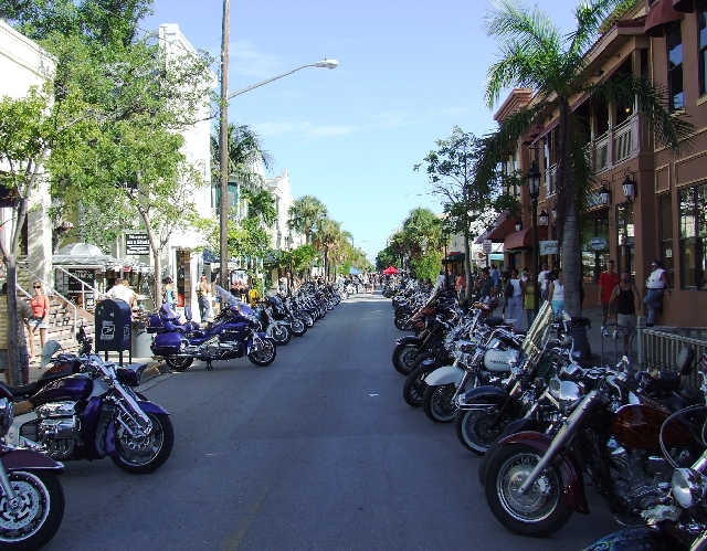 2008_09200049.JPG - More Bikes