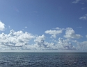 2008_09200008