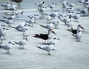 2008_09220042