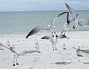 2008_09230018