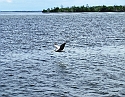 2008_09230028