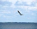 2008_09230030