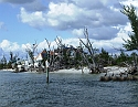 2008_09230035