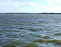 2008_09230052