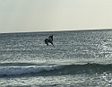 2008_09240098