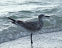 2008_09240100