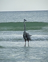 2008_09240101