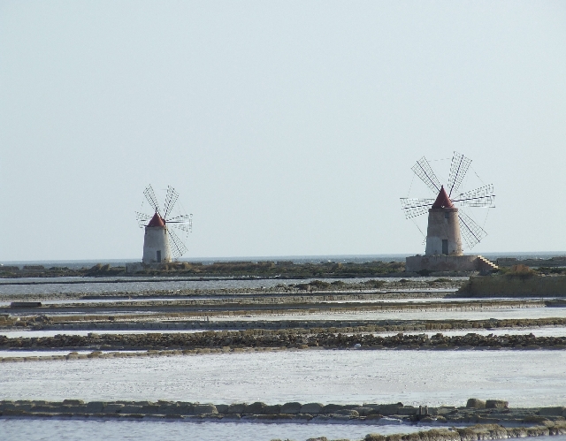 2008_06170127.JPG - Pumpimg Windmills