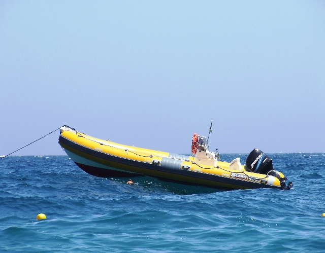 2008_06200240.JPG - Yellow and Blue