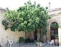 2008_06170099