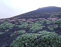 2008_06200162