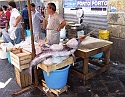 2008_06200195
