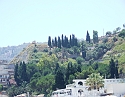 2008_06200233