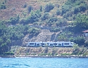 2008_06200239