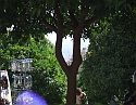 2008_06200251