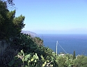 2008_06200265