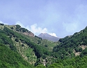 2008_06210268