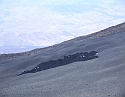 2008_06210276
