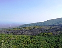 2008_06210313