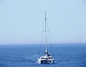 2008_06230361