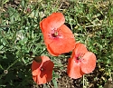 2008_06230376