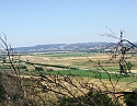 2008_06230378