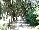 2008_06240459