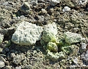 2008_06240469