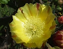 2008_06250490