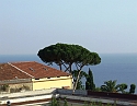 2008_06250503