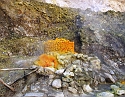 2008_06250515