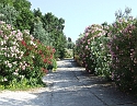 2008_06280442