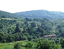 2008_06280454