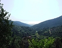 2008_06280459