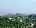 2008_06280477