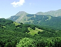 2008_0630486