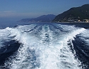 2008_07020491