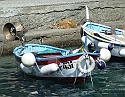 2008_07020505