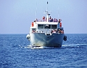 2008_07020525