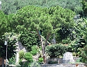 2008_07020548