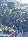 2008_07020585