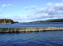 2008_0223_Zweden0130